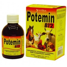 15874 - POTEMIN B12 120ML